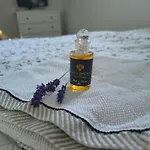 Pod Cerinkem 招待所