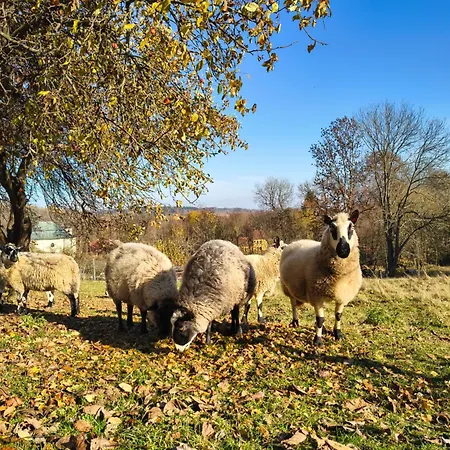 Гостевой дом Pod Cerinkem Mirosov (Jihlava)