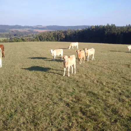 Pod Cerinkem Pensionat