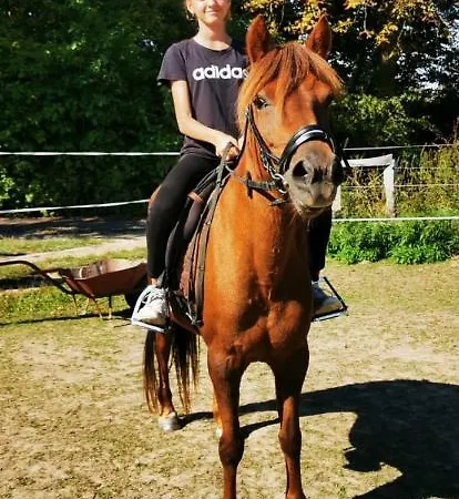 Pod čeřinkem Penzion *