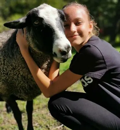 Pod čeřinkem Penzion Mirošov