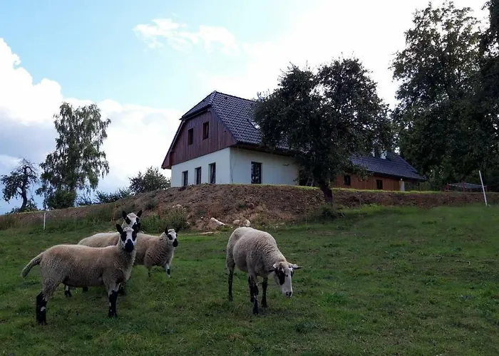Pod Cerinkem Pensjonat *