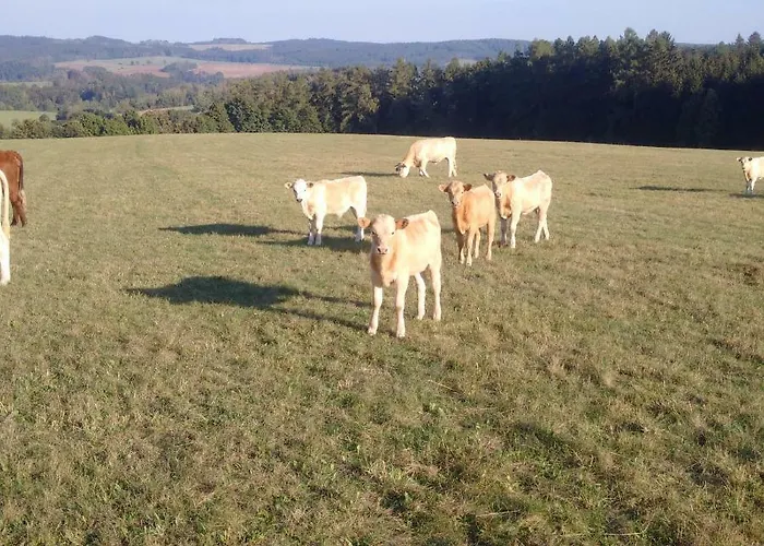 Pod Cerinkem Pensjonat