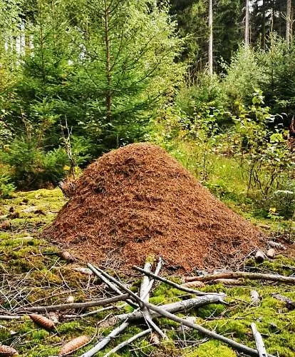 Pod Cerinkem Pensjonat *