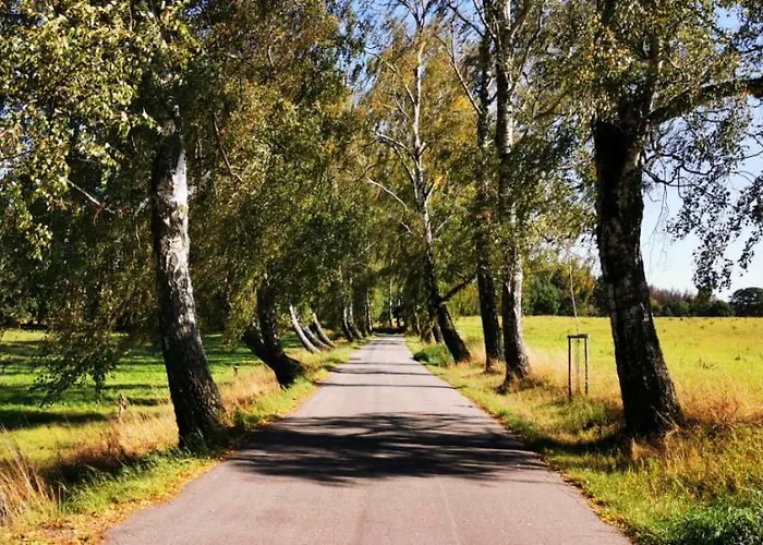 Pod Cerinkem Mirošov